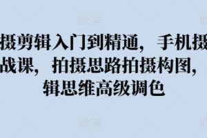 拍摄剪辑入门到精通，​手机摄影实战课，拍摄思路拍摄构图，剪辑思维高级调色