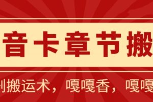 矩阵精准引流，小红书专业号矩阵精准获客，电商、微商、门店获客神技