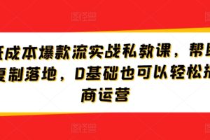 淘宝低成本爆款流实战私教课，帮助商家快速复制落地，0基础也可以轻松搞定电商运营