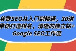 谷歌SEO从入门到精通，30讲带你打造排名，清晰的独立站+Google SEO工作流