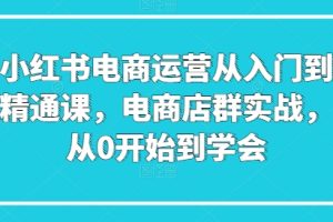 小红书电商运营从入门到精通课，电商店群实战，从0开始到学会