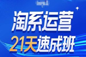 淘系运营24天速成班第28期最新万相台无界带免费流量