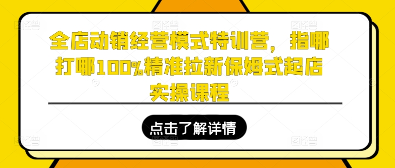 全店动销经营模式特训营，指哪打哪100%精准拉新保姆式起店实操课程