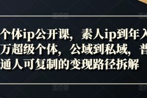 新个体ip公开课，素人ip到年入百万超级个体，公域到私域，普通人可复制的变现路径拆解