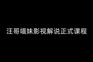 汪哥影视解说正式课程：剪映/PR教学/视解说剪辑5大黄金法则/全流程剪辑7把利器等等