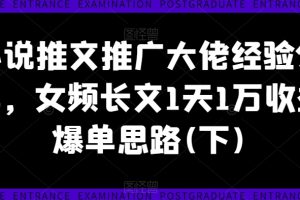 小说推文推广大佬经验分享，女频长文1天1万收益爆单思路(下)