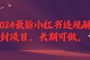 2024最新小红书违规解封项目，长期可做，一个可以做到退休的项目【揭秘】