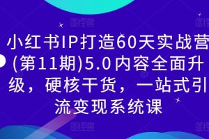 小红书IP打造60天实战营(第11期)5.0​内容全面升级，硬核干货，一站式引流变现系统课