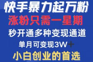 快手暴力起万粉，涨粉只需一星期，多种变现模式，直接秒开万合，单月变现过W【揭秘】