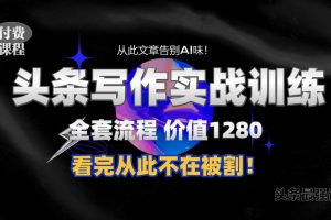 11月最新头条1280付费课程，手把手教你日入300+  教你写一篇没有“AI味的文章”，附赠独家指令【揭秘】