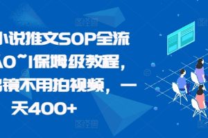 最新小说推文SOP全流程，从0~1保姆级教程，不用出镜不用拍视频，一天400+