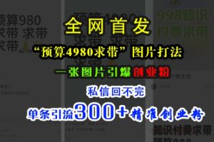 小红书“预算4980带我飞”图片打法，一张图片引爆创业粉，私信回不完，单条引流300+精准创业粉