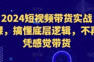 2024短视频带货实战课，搞懂底层逻辑，不再凭感觉带货