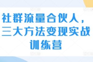 社群流量合伙人，三大方法变现实战训练营