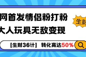 【生财36计】全网首发情侣粉打粉+大人玩具无敌变现