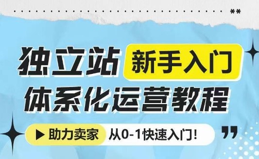 独立站新手入门体系化运营教程，助力独立站卖家从0-1快速入门!