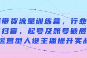 直播带货流量训练营，行业基础术语扫盲，起号及账号破层级，运营型人设主播提升实战