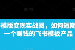 飞书模版变现实战圈，如何短期搭建一个赚钱的飞书模板产品