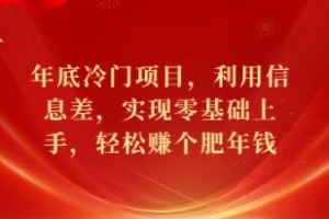 年底冷门项目，利用信息差，实现零基础上手，轻松赚个肥年钱【揭秘】