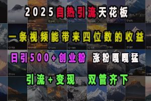 2025自热引流天花板，一条视频能带来四位数的收益，引流+变现双管齐下，日引500+创业粉，涨粉嘎嘎猛