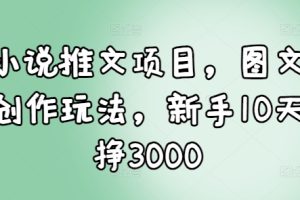 小说推文项目，图文创作玩法，新手10天挣3000