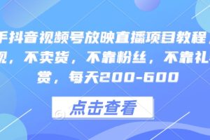 快手抖音视频号放映直播项目教程，不违规，不卖货，不靠粉丝，不靠礼物打赏，每天200-600