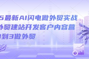 2025最新AI闪电做外贸实战课，外贸建站开发客户内容营销从0到3做外贸