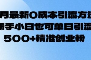 2月最新0成本引流方法，新手小白也可单日引流500+精准创业粉