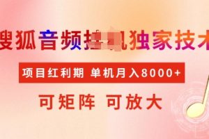 全网首发搜狐音频挂JI独家技术，项目红利期，可矩阵可放大，稳定月入8k【揭秘】