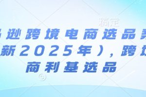 亚马逊跨境电商选品案例(更新2025年2月)，跨境电商利基选品