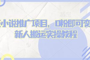 蛋花小说推文项目，0粉即可变现，新人搬运实操教程