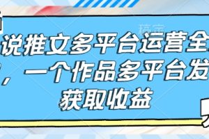 小说推文多平台运营全流程，一个作品多平台发布获取收益