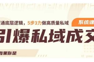 引爆私域成交力系统课，打通底层逻辑，5步3力做高质量私域