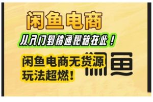 闲鱼电商实战课，从入门到精通秘籍在此，闲鱼电商无货源玩法超燃!