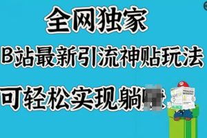 全网独家，B站最新引流神贴玩法，可轻松实现躺Z