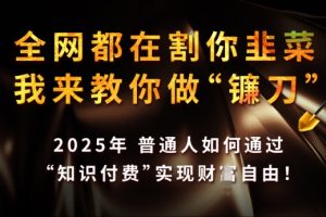 全网都在割你韭菜，我来教你做镰刀，2025年普通人如何通过 知识付费 实现财F自由【揭秘】