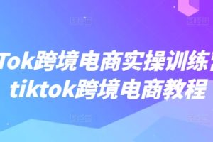 TikTok跨境电商实操训练营，tiktok跨境电商教程