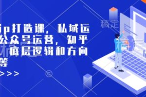 个人ip打造课，私域运营，公众号运营，知乎运营，底层逻辑和方向定位等