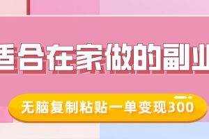 适合在家做的副业，小红书冷知识账号，无脑复制粘贴一单变现300