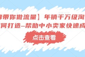 【冷锋带你做流量】年销千万级淘系商家如何打造–帮助中小卖家快速成长