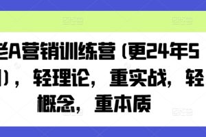 老A营销训练营(更25年1月)，轻理论，重实战，轻概念，重本质