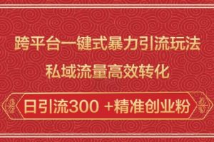 跨平台一键式暴力引流玩法，私域流量高效转化日引流300 +精准创业粉