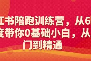 小红书陪跑训练营，从6大维度带你0基础小白，从入门到精通