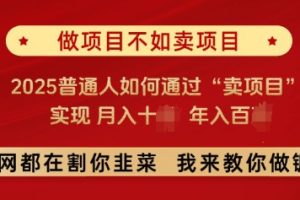 必看，做项目不如卖项目，2025普通人如何通过“卖项目”实现月入十个，年入百个