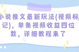 小说推文最新玩法(视频标记)，单条视频收益四位数，详细教程来了