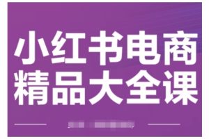 小红书电商精品大全课，快速掌握小红书运营技巧，实现精准引流与爆单目标，轻松玩转小红书电商(更新2月)