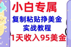 复制粘贴挣美金，0门槛，1天收入95美刀，3分钟学会，内部教程(首次公开)